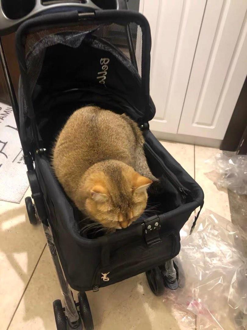Pet Expo Stroller Dog Trolley Pram Cat Car Detachable
