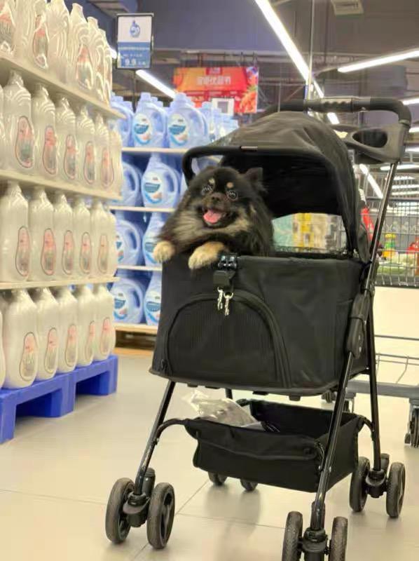 Pet Expo Stroller Dog Trolley Pram Cat Car Detachable