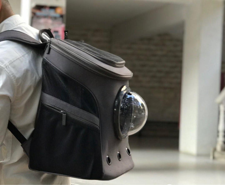 Large Cat Dog Backpack Bubble Capsule Carrier
