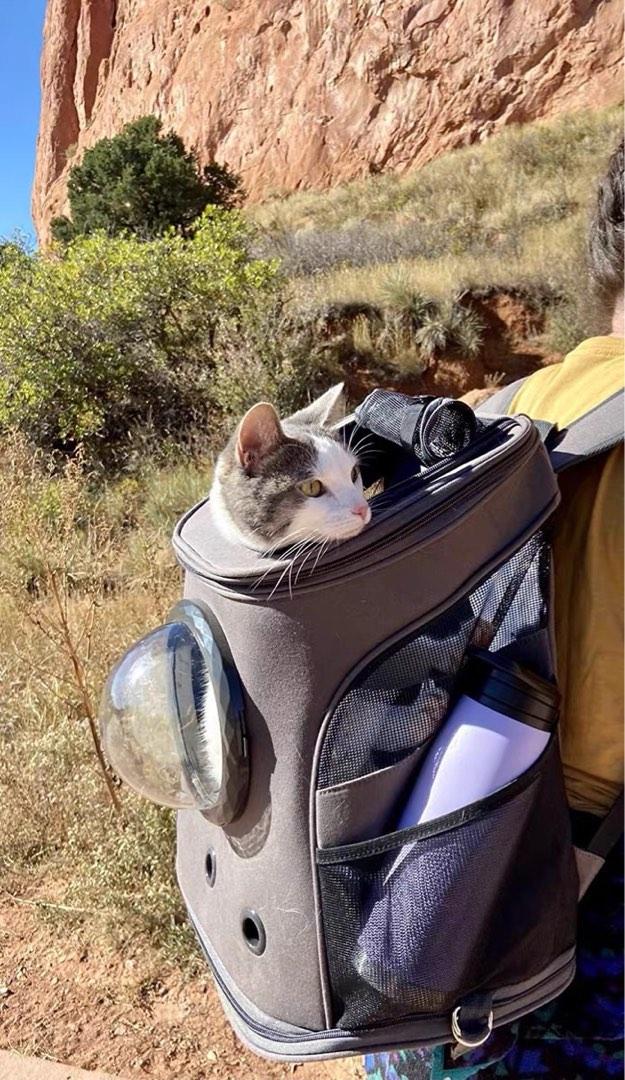 Large Cat Dog Backpack Bubble Capsule Carrier