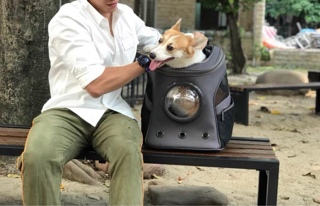 Large Cat Dog Backpack Bubble Capsule Carrier