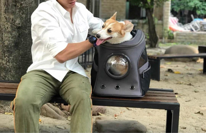 Large Cat Dog Backpack Bubble Capsule Carrier