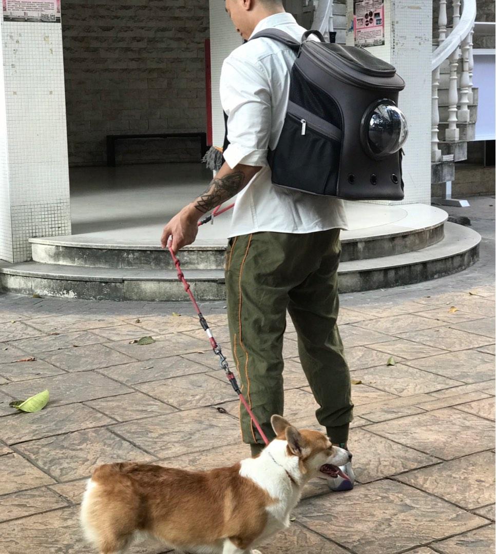 Large Cat Dog Backpack Bubble Capsule Carrier