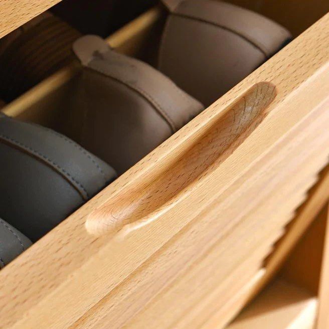 Designer Shoe Storage Cabinet