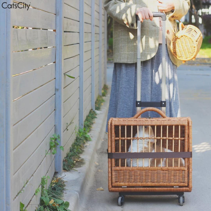 Rattan Rolling Stroller