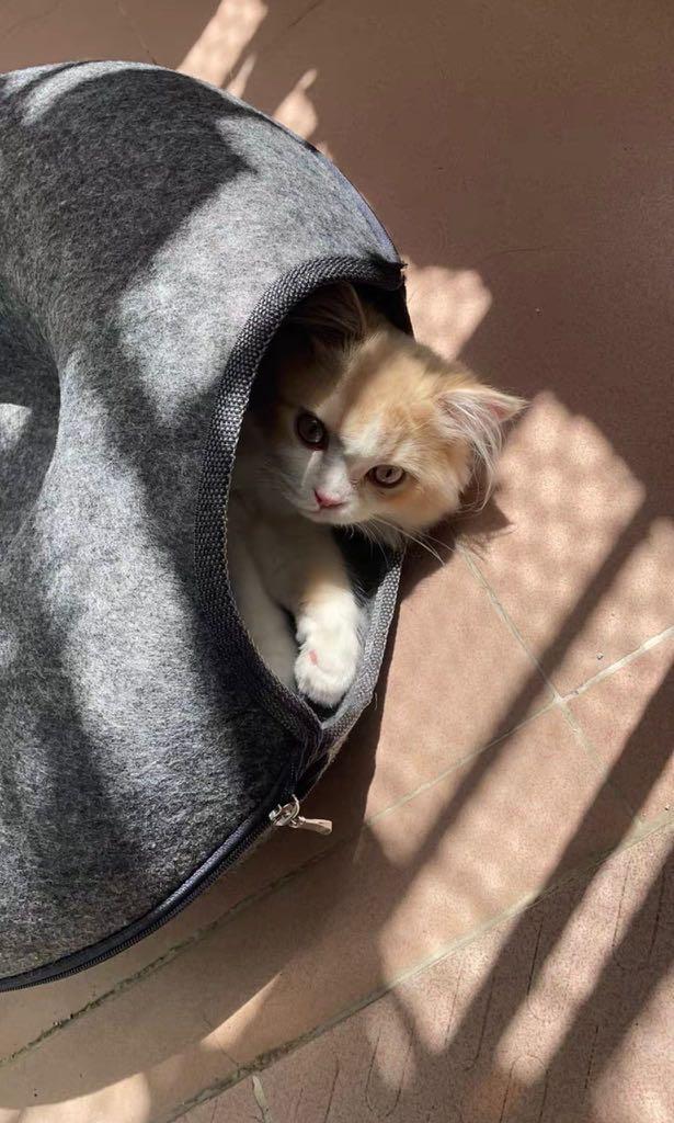Grey Felt Cat Tunnel Circular Cave