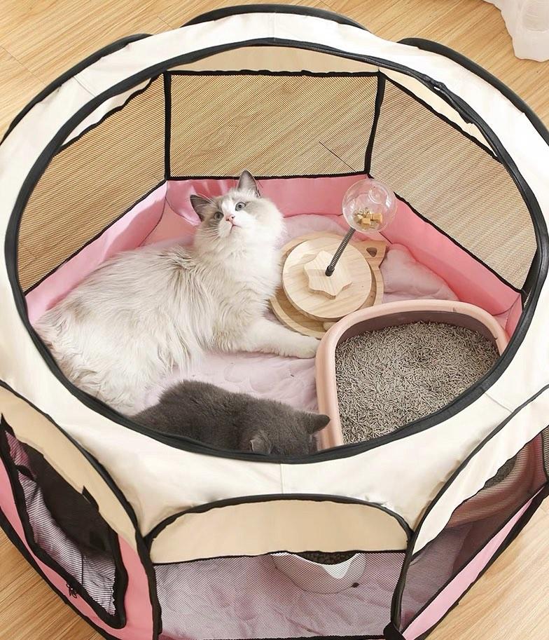 Pink Cat Kitten Playroom Pet Tent Collapsible Foldable