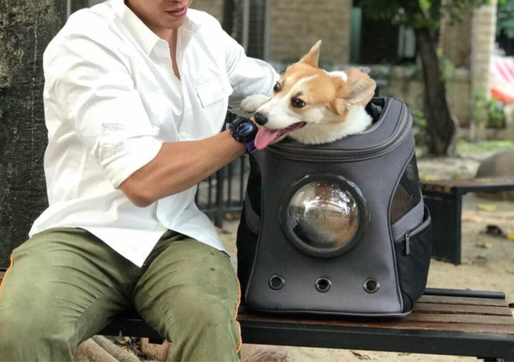 Large Cat Dog Backpack Bubble Capsule Carrier